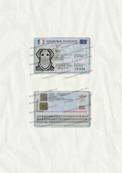 Fake French ID Card