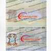 iceland passport template psd