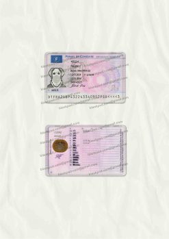 france driver license psd